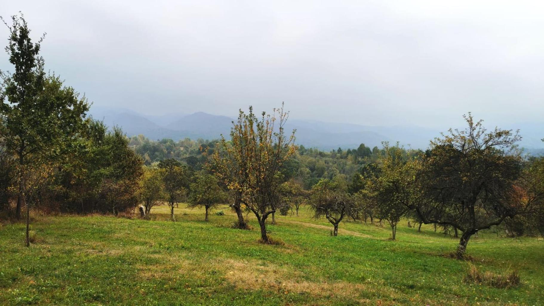 Mehadica House Villa Buitenkant foto