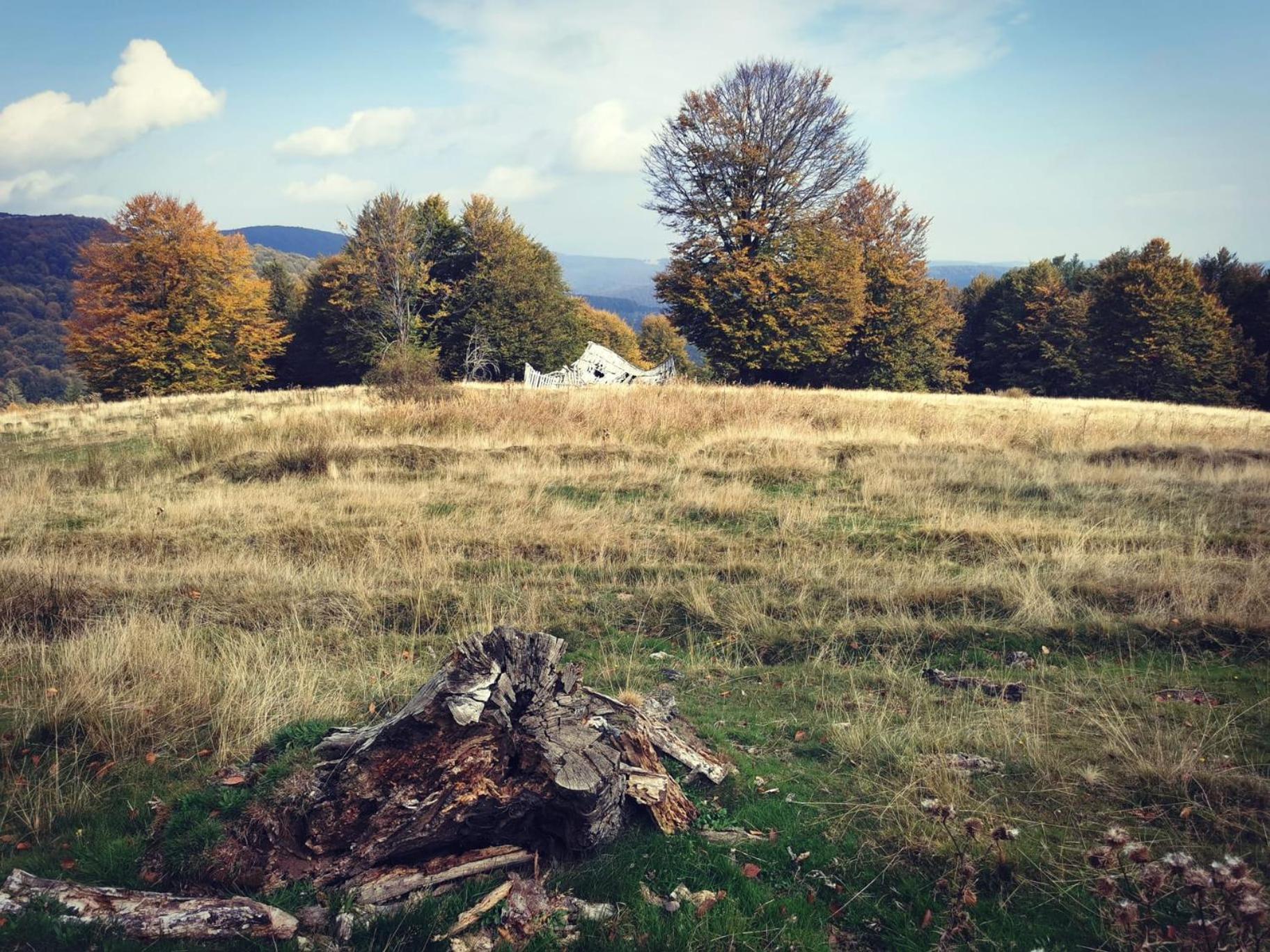 Mehadica House Villa Buitenkant foto